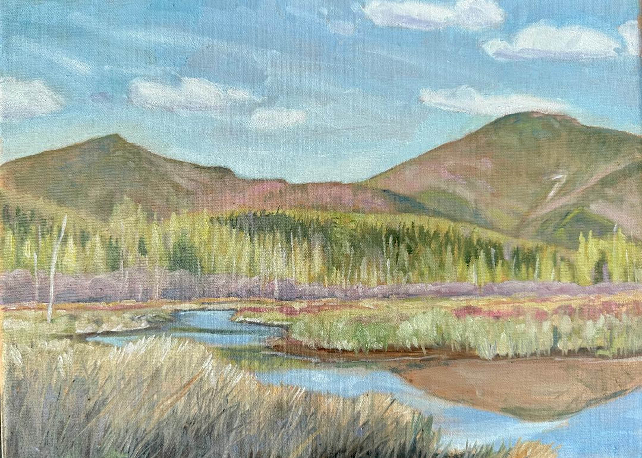 Hildreth’s ‘Transitions’ opens next month News, Sports, Jobs